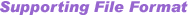 Supporting File Format