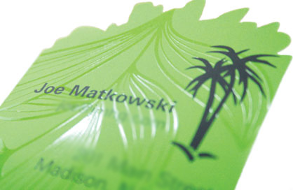 Cheap Price Business Card